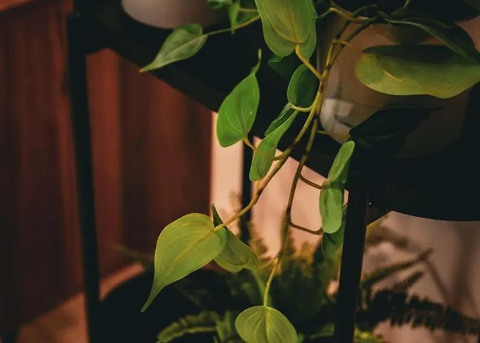 Chopok Juh Relax & Enjoy